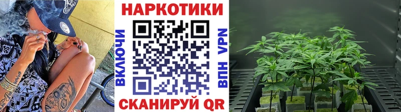 Виды наркоты Свирск Марихуана  МЕФ  КОКАИН  СК  ГАШ 