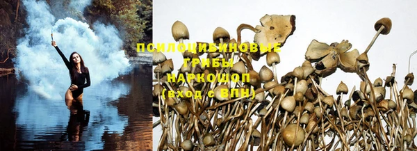 таблы Богданович