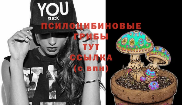 гашиш Богородицк