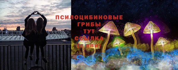 соль ск Богородск