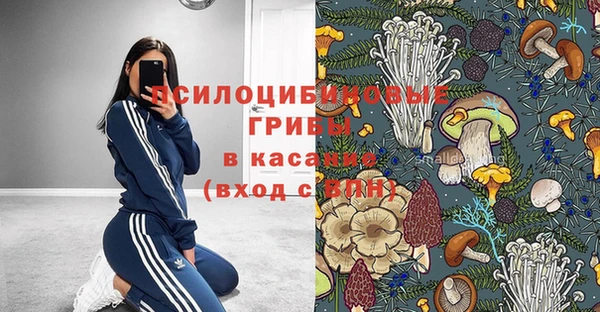 таблы Богданович