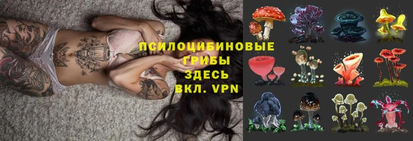 таблы Богданович