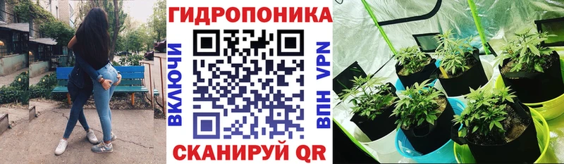 дарнет шоп Свирск Канабис тримм
